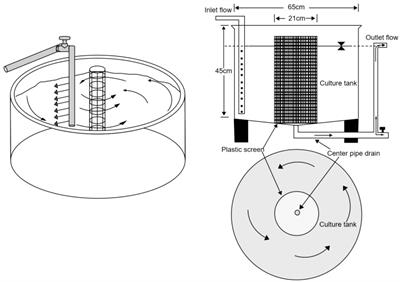 Effects of exercise training on growth and physiology of large-mouth bass (Micropterus salmoides) reared in a recirculating aquaculture system